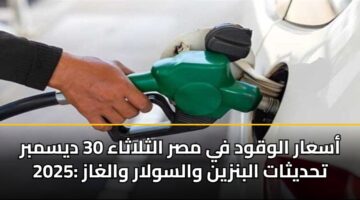 أسعار الوقود في مصر الثلاثاء 30 ديسمبر 2025: تحديثات البنزين والسولار والغاز