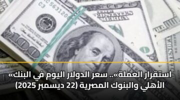 «استقرار العملة».. سعر الدولار اليوم في البنك الأهلي والبنوك المصرية (22 ديسمبر 2025)
