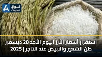 استقرار أسعار الأرز اليوم الأحد 28 ديسمبر 2025 | طن الشعير والأبيض عند التاجر