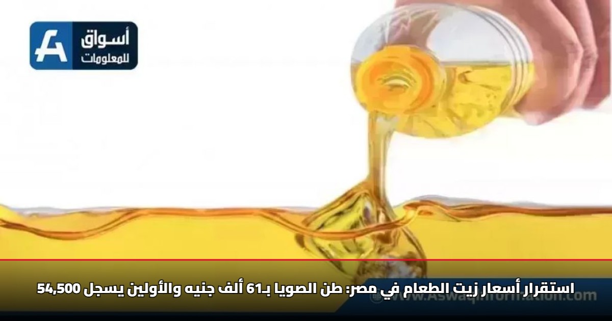 استقرار أسعار زيت الطعام في مصر: طن الصويا بـ61 ألف جنيه والأولين يسجل 54,500