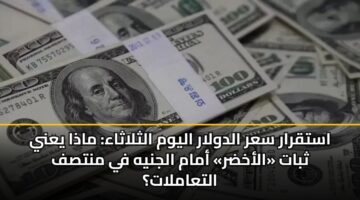 استقرار سعر الدولار اليوم الثلاثاء: ماذا يعني ثبات «الأخضر» أمام الجنيه في منتصف التعاملات؟