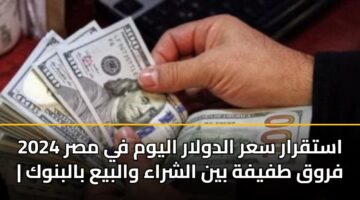 استقرار سعر الدولار اليوم في مصر 2024 | فروق طفيفة بين الشراء والبيع بالبنوك