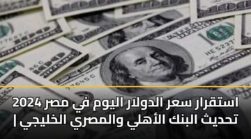 استقرار سعر الدولار اليوم في مصر 2024 | تحديث البنك الأهلي والمصري الخليجي
