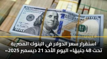 استقرار سعر الدولار في البنوك المصرية «تحت 48 جنيهًا» اليوم الأحد 21 ديسمبر 2025