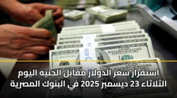 استقرار سعر الدولار مقابل الجنيه اليوم الثلاثاء 23 ديسمبر 2025 في البنوك المصرية