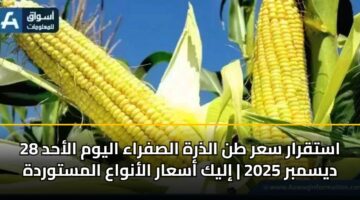 استقرار سعر طن الذرة الصفراء اليوم الأحد 28 ديسمبر 2025 | إليك أسعار الأنواع المستوردة