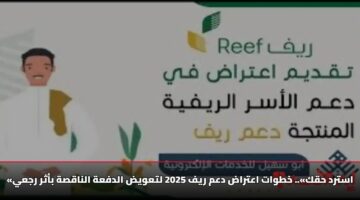 «استرد حقك».. خطوات اعتراض دعم ريف 2025 لتعويض الدفعة الناقصة بأثر رجعي
