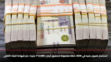 استثمار مليون جنيه في 2025: خطة مضمونة لتحقيق أرباح «712,500 جنيه» عبر شهادة البنك الأهلي