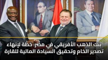 بنك الذهب الأفريقي في مصر: خطة لإنهاء تصدير الخام وتحقيق السيادة المالية للقارة
