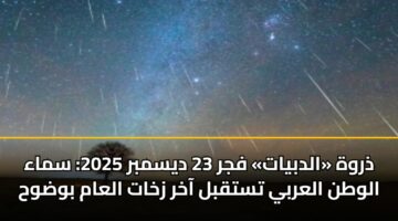 ذروة «الدبيات» فجر 23 ديسمبر 2025: سماء الوطن العربي تستقبل آخر زخات العام بوضوح