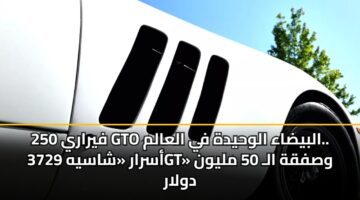 فيراري 250 GTO البيضاء الوحيدة في العالم.. أسرار «شاسيه 3729GT» وصفقة الـ 50 مليون دولار
