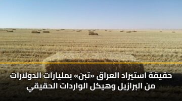 حقيقة استيراد العراق «تبن» بمليارات الدولارات من البرازيل وهيكل الواردات الحقيقي