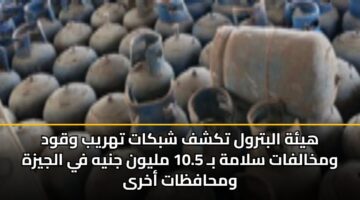 هيئة البترول تكشف شبكات تهريب وقود ومخالفات سلامة بـ 10.5 مليون جنيه في الجيزة ومحافظات أخرى