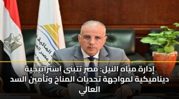 إدارة مياه النيل: مصر تتبنى استراتيجية ديناميكية لمواجهة تحديات المناخ وتأمين السد العالي