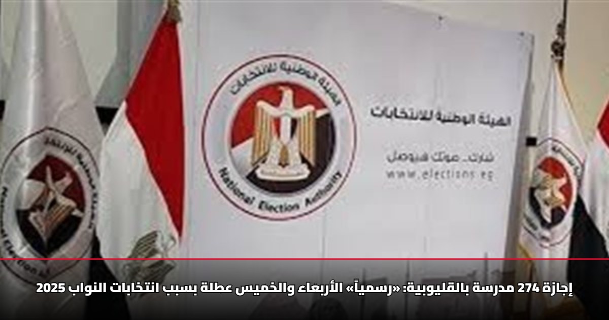 «رسمياً» إجازة 274 مدرسة بالقليوبية.. الأربعاء والخميس عطلة بسبب انتخابات النواب 2025 5 «رسمياً» إجازة 274 مدرسة بالقليوبية.. الأربعاء والخميس عطلة بسبب انتخابات النواب 2025