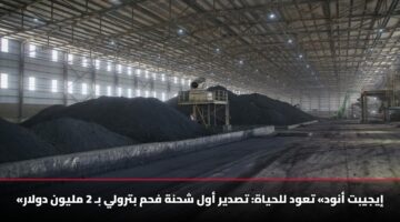 «إيجيبت أنود» تعود للحياة: تصدير أول شحنة فحم بترولي بـ 2 مليون دولار