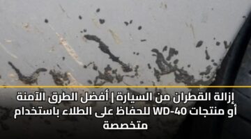 إزالة القطران من السيارة | أفضل الطرق الآمنة للحفاظ على الطلاء باستخدام WD-40 أو منتجات متخصصة