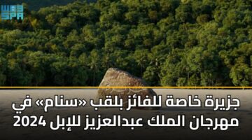 جزيرة خاصة للفائز بلقب «سنام» في مهرجان الملك عبدالعزيز للإبل 2024
