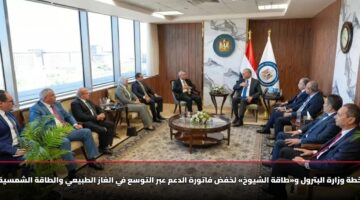 خطة وزارة البترول و«طاقة الشيوخ» لخفض فاتورة الدعم عبر التوسع في الغاز الطبيعي والطاقة الشمسية