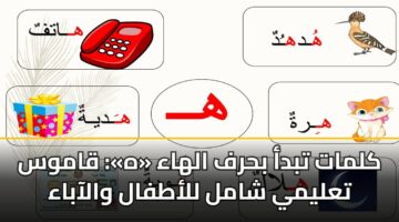 كلمات تبدأ بحرف الهاء «ه»: قاموس تعليمي شامل للأطفال والآباء