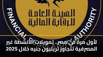 لأول مرة في مصر.. تمويلات الأنشطة غير المصرفية تتجاوز تريليون جنيه خلال 2025