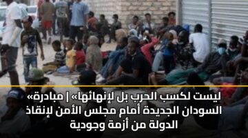 «ليست لكسب الحرب بل لإنهائها» | مبادرة السودان الجديدة أمام مجلس الأمن لإنقاذ الدولة من أزمة وجودية