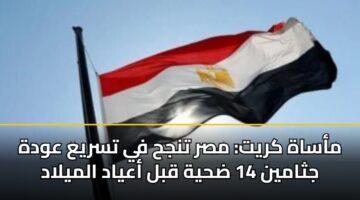 مأساة كريت: مصر تنجح في تسريع عودة جثامين 14 ضحية قبل أعياد الميلاد