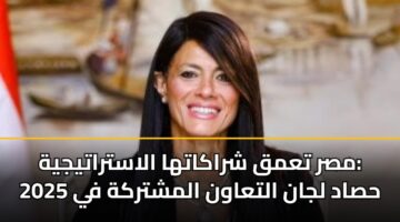 مصر تعمق شراكاتها الاستراتيجية: حصاد لجان التعاون المشتركة في 2025
