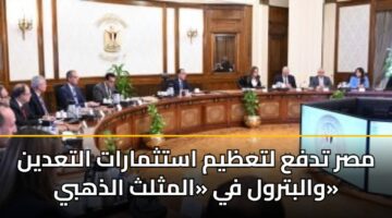 مصر تدفع لتعظيم استثمارات التعدين والبترول في «المثلث الذهبي»