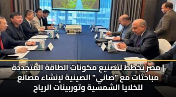 مصر تخطط لتصنيع مكونات الطاقة المتجددة | مباحثات مع “صاني” الصينية لإنشاء مصانع للخلايا الشمسية وتوربينات الرياح