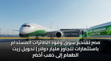 مصر تقتحم سوق وقود الطائرات المستدام باستثمارات تتجاوز مليار دولار | تحويل زيت الطعام إلى ذهب أخضر