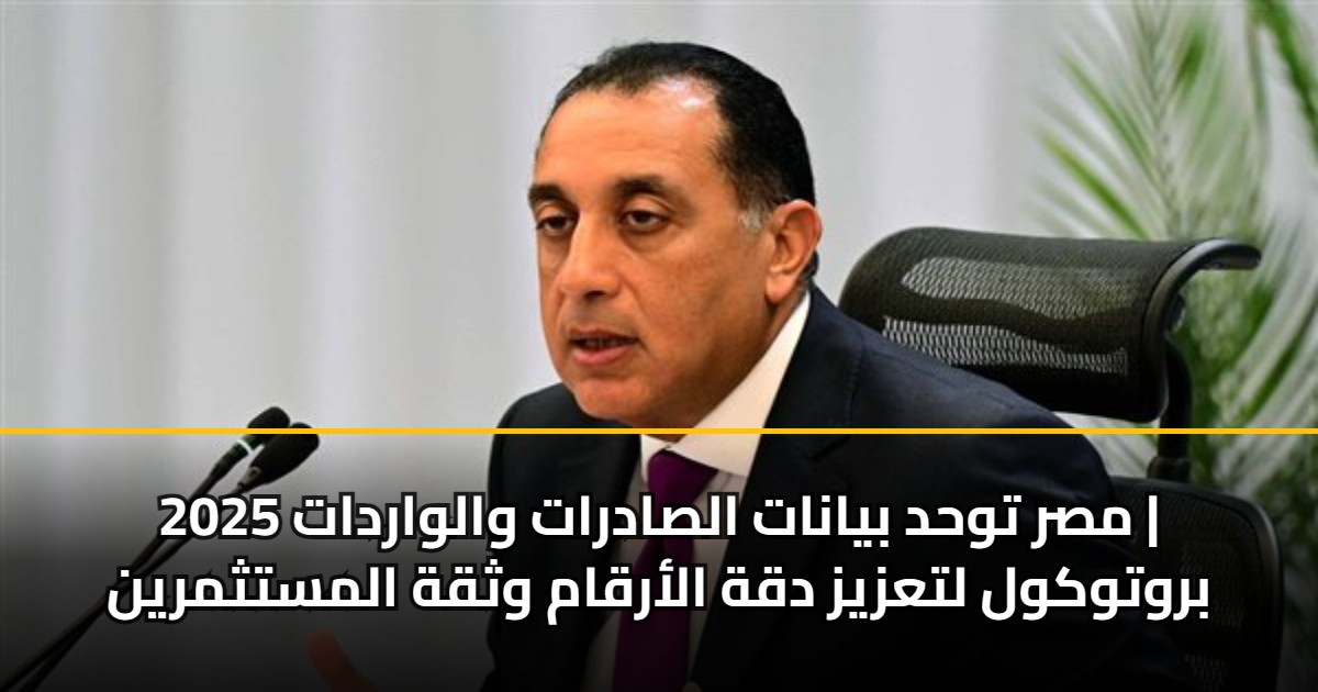 مصر توحد بيانات الصادرات والواردات 2025 | بروتوكول لتعزيز دقة الأرقام وثقة المستثمرين