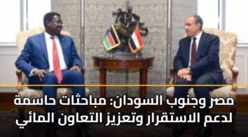 مصر وجنوب السودان: مباحثات حاسمة لدعم الاستقرار وتعزيز التعاون المائي