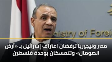 مصر ونيجيريا ترفضان اعتراف إسرائيل بـ «أرض الصومال» وتتمسكان بوحدة فلسطين