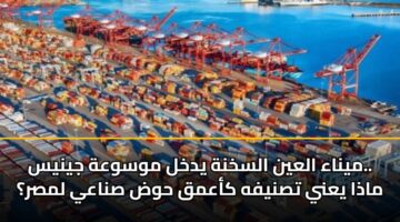 ميناء العين السخنة يدخل موسوعة جينيس.. ماذا يعني تصنيفه كأعمق حوض صناعي لمصر؟