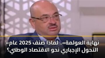«نهاية العولمة».. لماذا صُنف 2025 عام التحول الإجباري نحو الاقتصاد الوطني؟