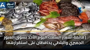 قائمة أسعار السمك اليوم الأحد بسوق العبور | الجمبري والبلطي يحافظان على استقرارهما