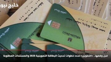 قبل وقفها.. «التموين» تحدد خطوات تحديث البطاقة التموينية 2025 والمستندات المطلوبة