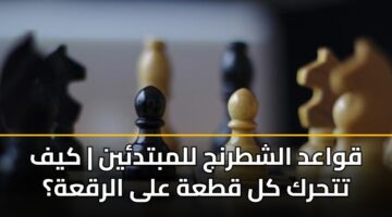 قواعد الشطرنج للمبتدئين | كيف تتحرك كل قطعة على الرقعة؟