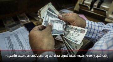 «راتب شهري 7500 جنيه» كيف تحول مدخراتك إلى دخل ثابت من البنك الأهلي؟