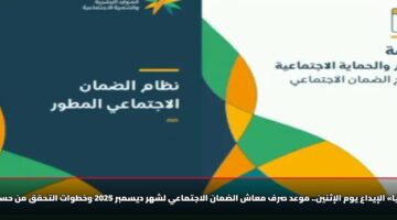 «رسميًا» الإيداع يوم الإثنين.. موعد صرف معاش الضمان الاجتماعي لشهر ديسمبر 2025 وخطوات التحقق من حسابك