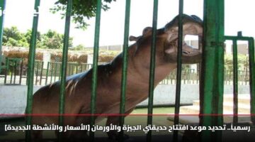 رسمياً.. تحديد موعد افتتاح حديقتي الجيزة والأورمان [الأسعار والأنشطة الجديدة]