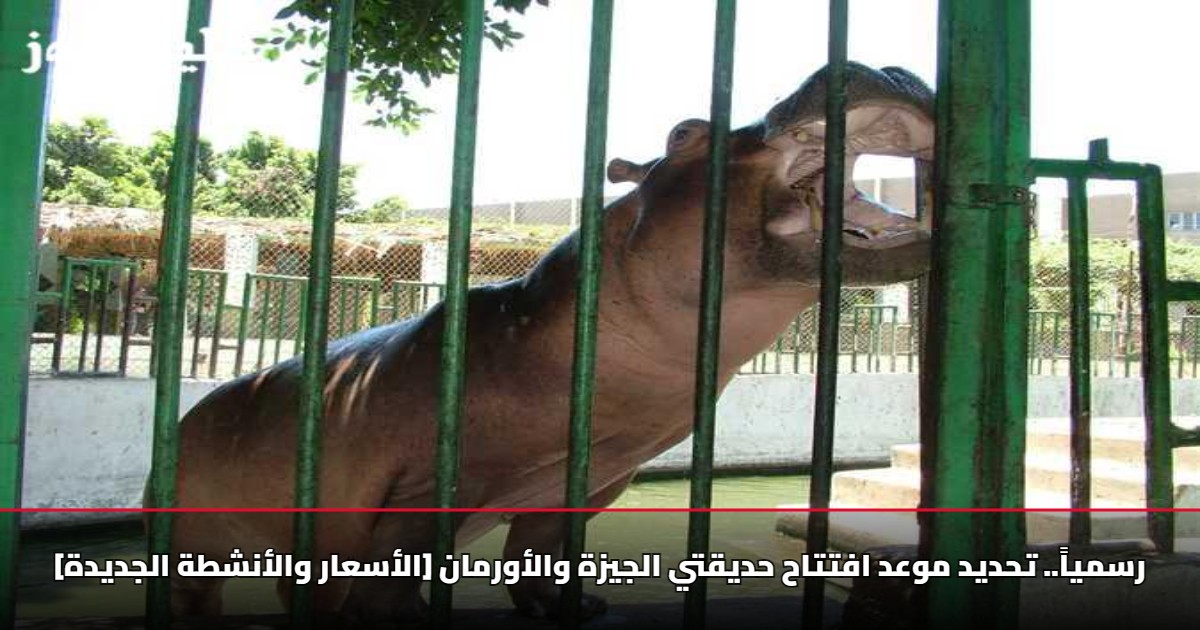 رسمياً.. تحديد موعد افتتاح حديقتي الجيزة والأورمان [الأسعار والأنشطة الجديدة]
