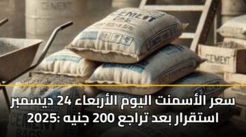سعر الأسمنت اليوم الأربعاء 24 ديسمبر 2025: استقرار بعد تراجع 200 جنيه