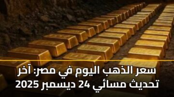 سعر الذهب اليوم في مصر: آخر تحديث مسائي 24 ديسمبر 2025