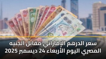 سعر الدرهم الإماراتي مقابل الجنيه المصري اليوم الأربعاء 24 ديسمبر 2025