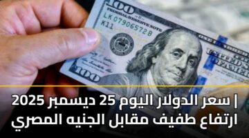 سعر الدولار اليوم 25 ديسمبر 2025 | ارتفاع طفيف مقابل الجنيه المصري