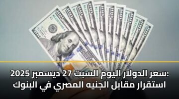 سعر الدولار اليوم السبت 27 ديسمبر 2025: استقرار مقابل الجنيه المصري في البنوك