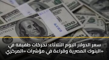 سعر الدولار اليوم الثلاثاء: تحركات طفيفة في البنوك المصرية وقراءة في مؤشرات «المركزي»