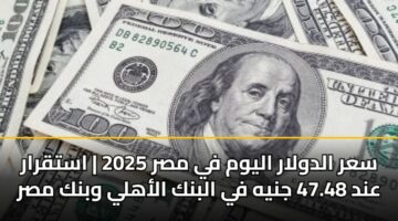 سعر الدولار اليوم في مصر 2025 | استقرار عند 47.48 جنيه في البنك الأهلي وبنك مصر